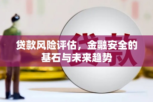 玛家贷款风险评估，金融安全的基石与未来趋势