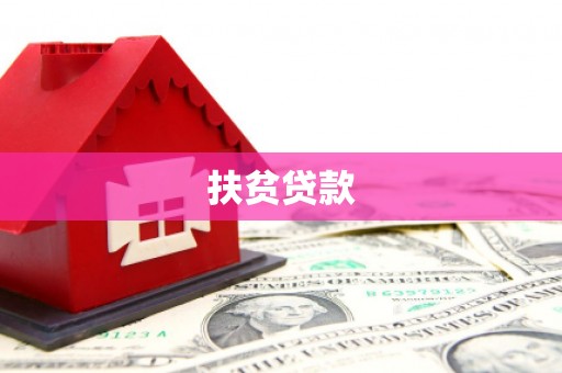 玛家扶贫贷款