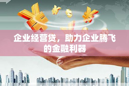 玛家企业经营贷，助力企业腾飞的金融利器