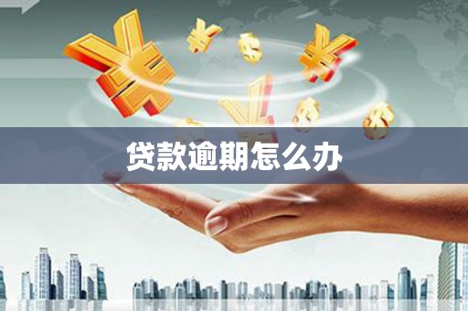 玛家贷款逾期怎么办