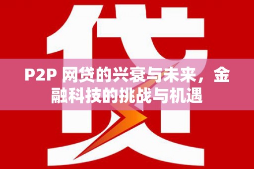 玛家P2P 网贷的兴衰与未来，金融科技的挑战与机遇