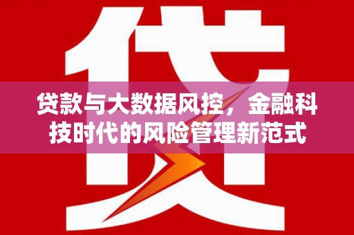 玛家贷款与大数据风控，金融科技时代的风险管理新范式