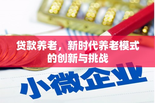 玛家贷款养老，新时代养老模式的创新与挑战