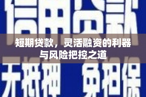 玛家短期贷款，灵活融资的利器与风险把控之道