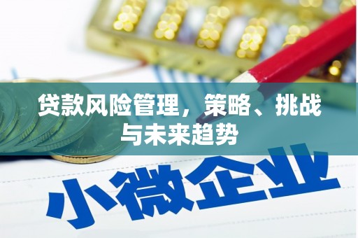 玛家贷款风险管理，策略、挑战与未来趋势