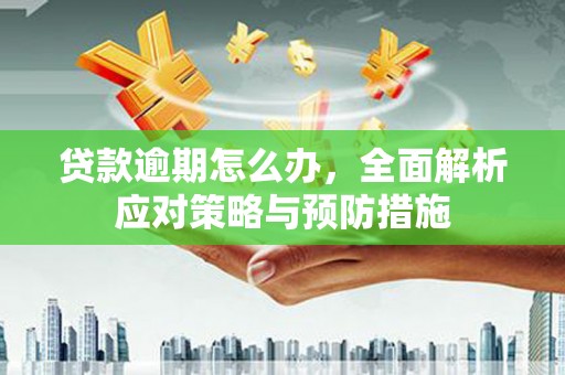 玛家贷款逾期怎么办，全面解析应对策略与预防措施