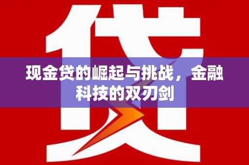 玛家现金贷的崛起与挑战，金融科技的双刃剑