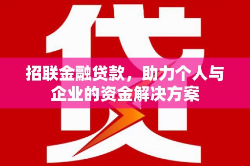 玛家招联金融贷款，助力个人与企业的资金解决方案