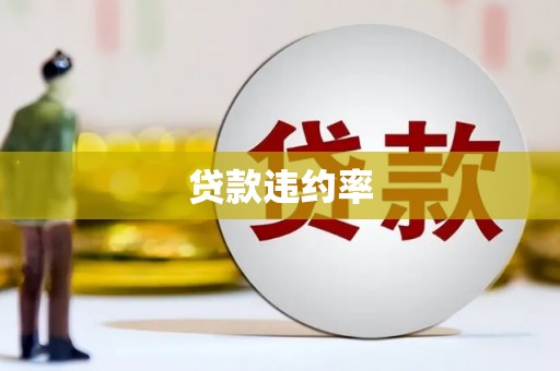 玛家贷款违约率