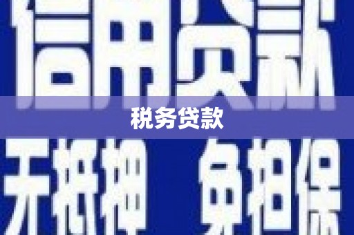 玛家税务贷款
