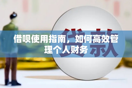 玛家借呗使用指南，如何高效管理个人财务
