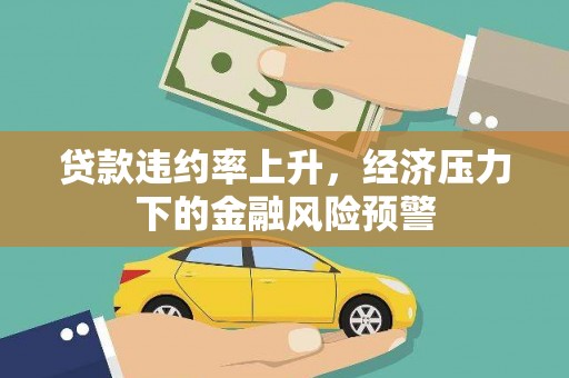 玛家贷款违约率上升，经济压力下的金融风险预警