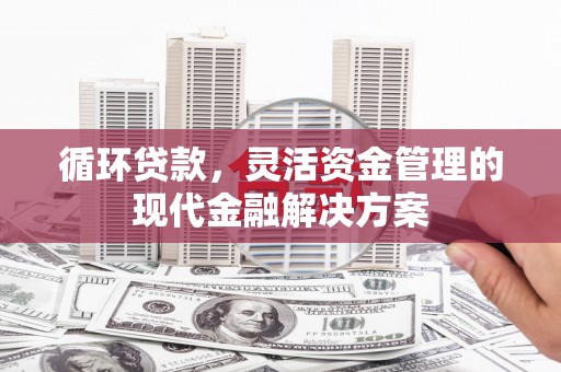 玛家循环贷款，灵活资金管理的现代金融解决方案