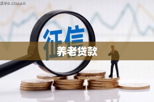 玛家养老贷款