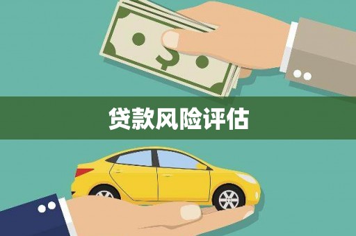 玛家贷款风险评估