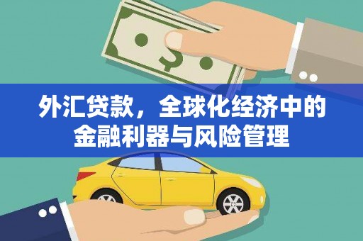 玛家外汇贷款，全球化经济中的金融利器与风险管理