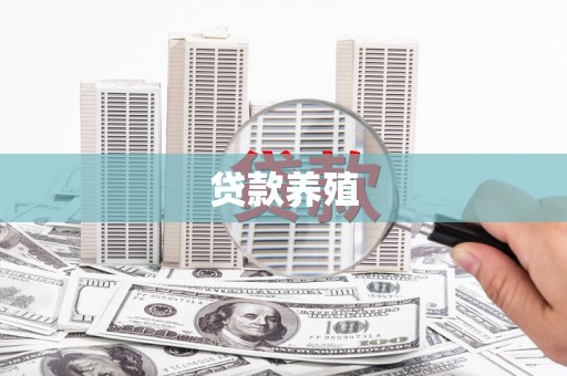 玛家贷款养殖