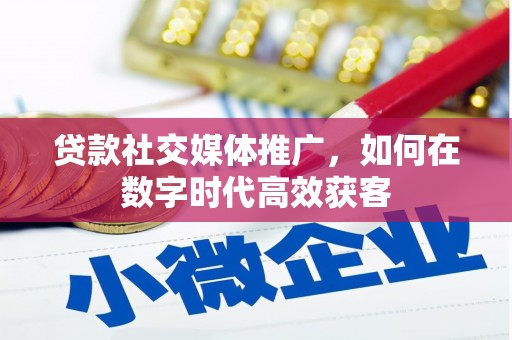 玛家贷款社交媒体推广，如何在数字时代高效获客