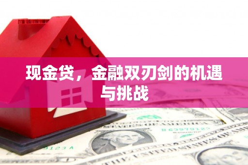 玛家现金贷，金融双刃剑的机遇与挑战