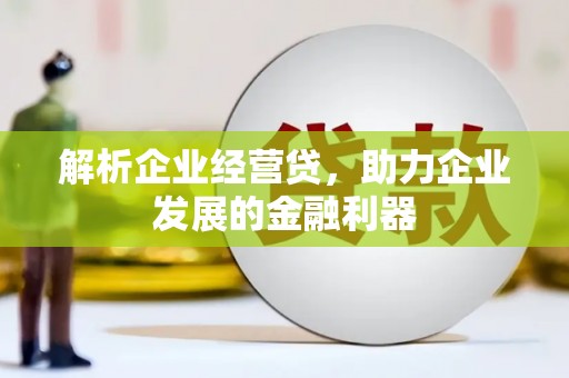 玛家解析企业经营贷，助力企业发展的金融利器