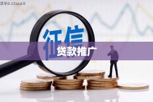 玛家贷款推广