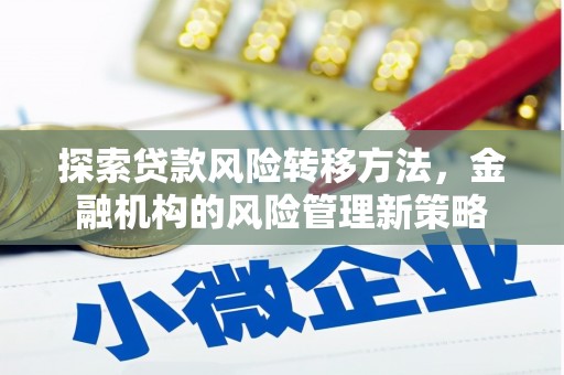 玛家探索贷款风险转移方法，金融机构的风险管理新策略