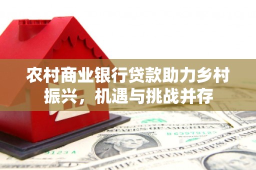 玛家农村商业银行贷款助力乡村振兴，机遇与挑战并存