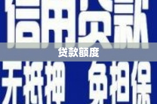玛家贷款额度