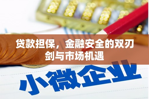 玛家贷款担保，金融安全的双刃剑与市场机遇