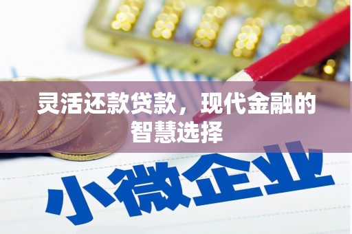 玛家灵活还款贷款，现代金融的智慧选择
