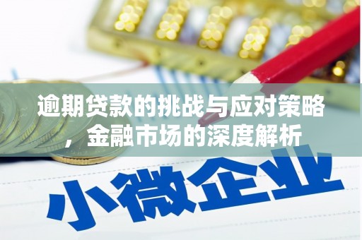玛家逾期贷款的挑战与应对策略，金融市场的深度解析