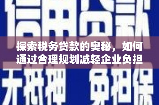 玛家探索税务贷款的奥秘，如何通过合理规划减轻企业负担