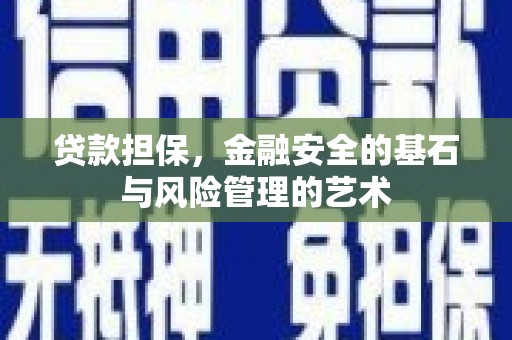 玛家贷款担保，金融安全的基石与风险管理的艺术