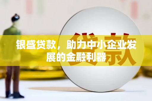 玛家银盛贷款，助力中小企业发展的金融利器