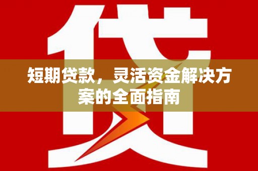 玛家短期贷款，灵活资金解决方案的全面指南