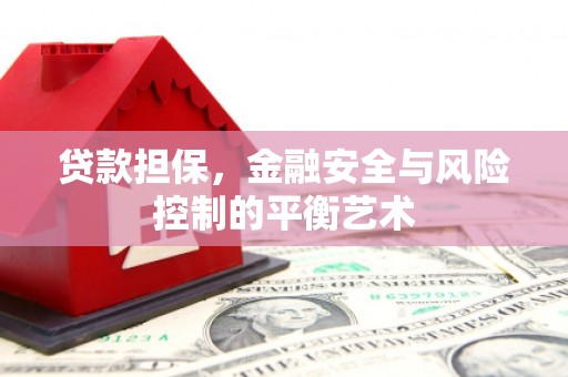 玛家贷款担保，金融安全与风险控制的平衡艺术