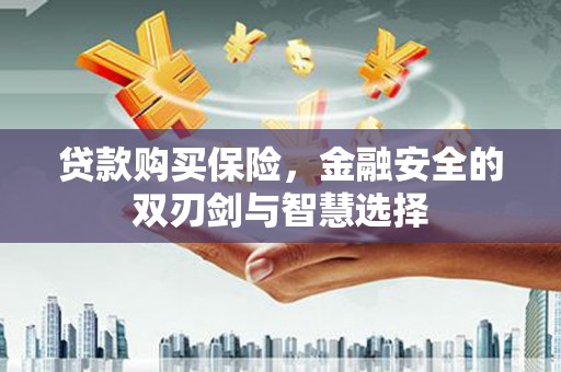 玛家贷款购买保险，金融安全的双刃剑与智慧选择