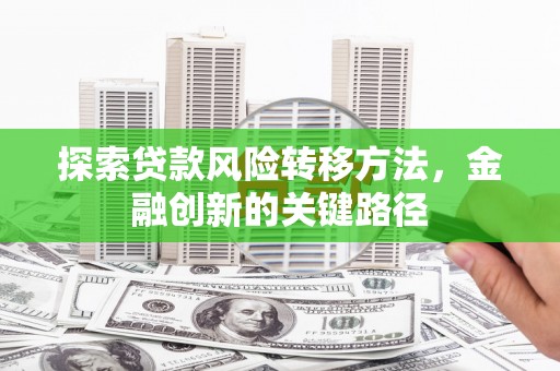 玛家探索贷款风险转移方法，金融创新的关键路径