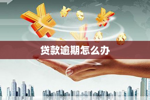 玛家贷款逾期怎么办