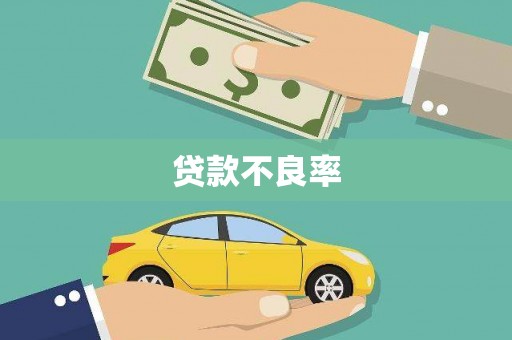 玛家贷款不良率