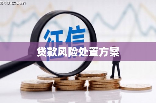 玛家贷款风险处置方案