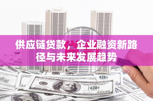 玛家供应链贷款，企业融资新路径与未来发展趋势