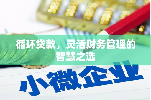 玛家循环贷款，灵活财务管理的智慧之选