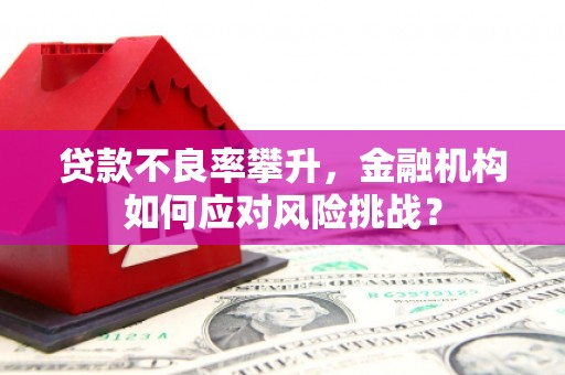 玛家贷款不良率攀升，金融机构如何应对风险挑战？