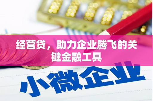 玛家经营贷，助力企业腾飞的关键金融工具