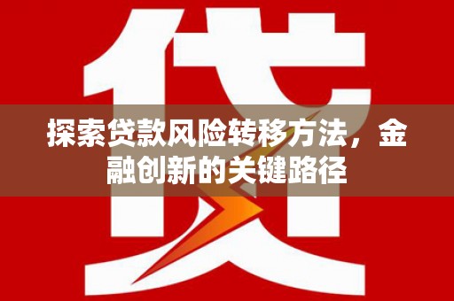 玛家探索贷款风险转移方法，金融创新的关键路径