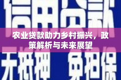 玛家农业贷款助力乡村振兴，政策解析与未来展望