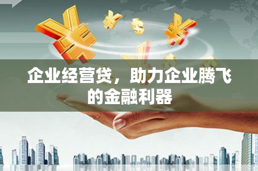 玛家企业经营贷，助力企业腾飞的金融利器