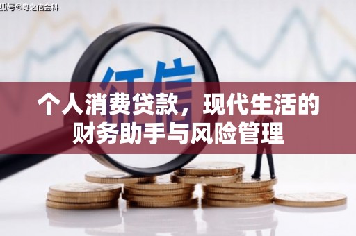 玛家个人消费贷款，现代生活的财务助手与风险管理