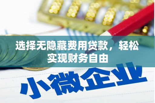 玛家选择无隐藏费用贷款，轻松实现财务自由